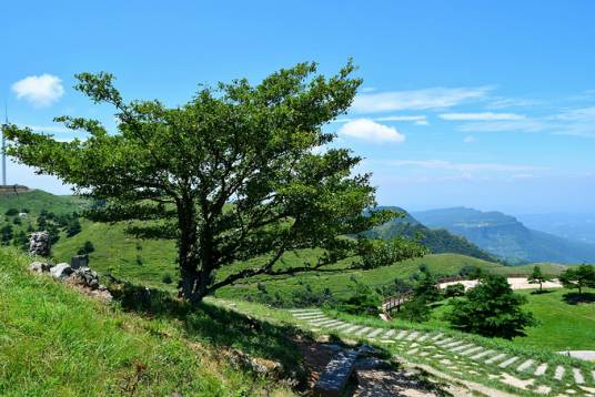 山楂之恋景区