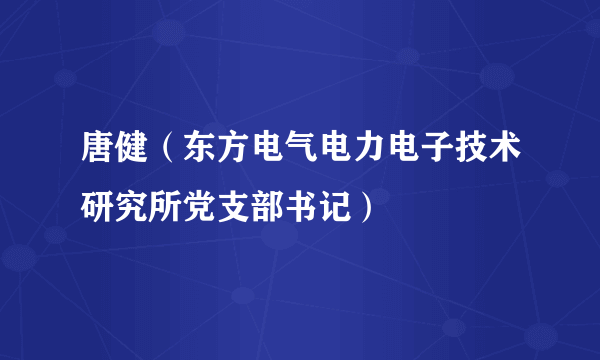 唐健（东方电气电力电子技术研究所党支部书记）