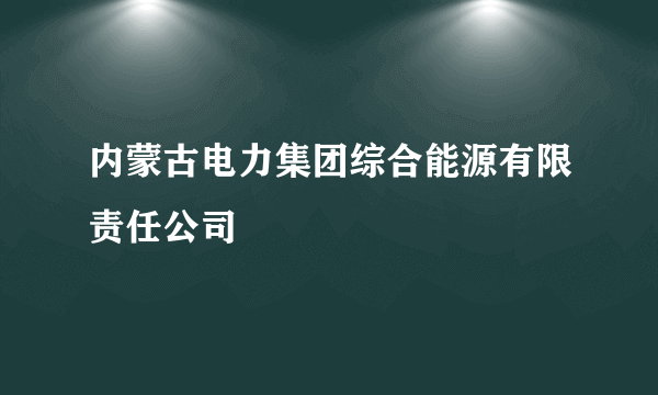 内蒙古电力集团综合能源有限责任公司