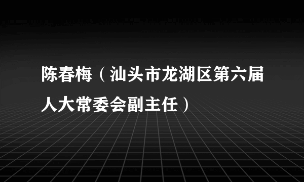 陈春梅（汕头市龙湖区第六届人大常委会副主任）