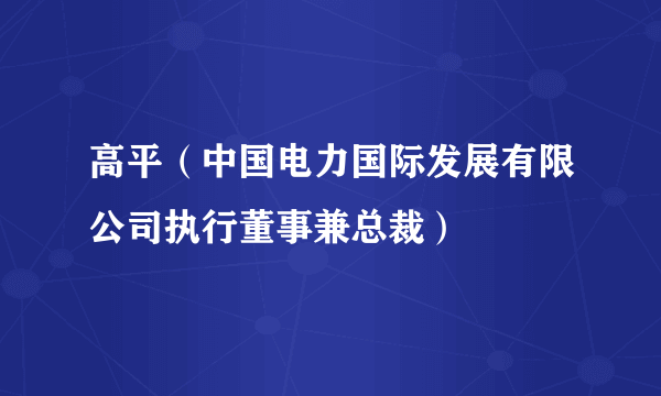 高平（中国电力国际发展有限公司执行董事兼总裁）