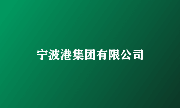 宁波港集团有限公司