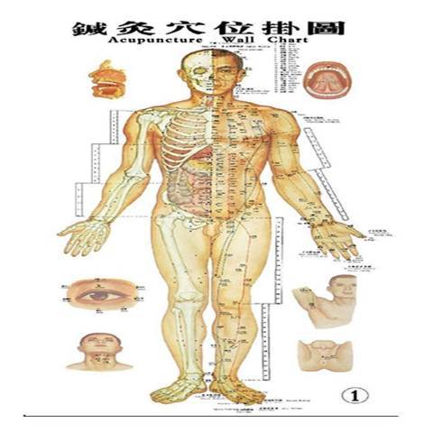 针灸穴位挂图（2018年北京工业大学出版社出版的图书）