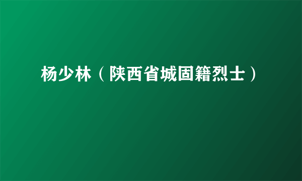 杨少林（陕西省城固籍烈士）