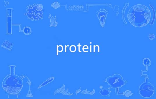 protein