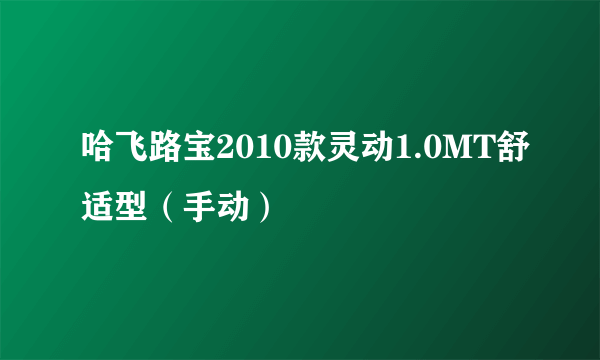 哈飞路宝2010款灵动1.0MT舒适型（手动）