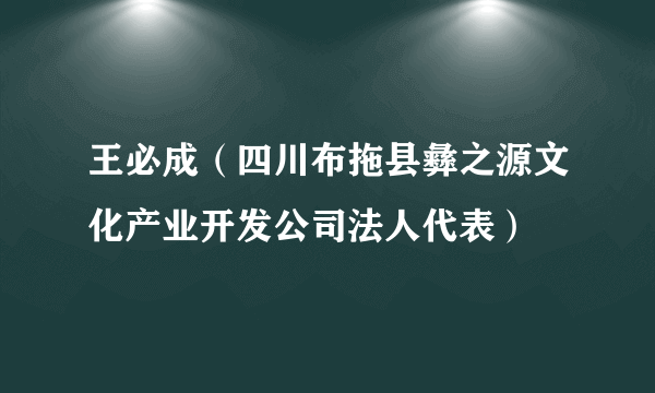 王必成（四川布拖县彝之源文化产业开发公司法人代表）