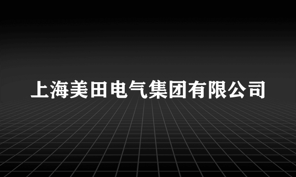 上海美田电气集团有限公司