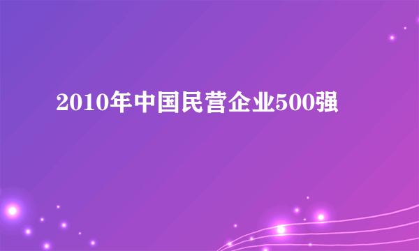 2010年中国民营企业500强