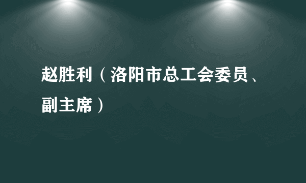 赵胜利（洛阳市总工会委员、副主席）