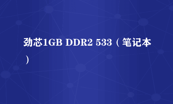 劲芯1GB DDR2 533（笔记本）