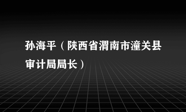 孙海平（陕西省渭南市潼关县审计局局长）