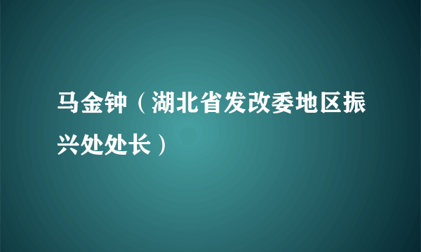 马金钟（湖北省发改委地区振兴处处长）