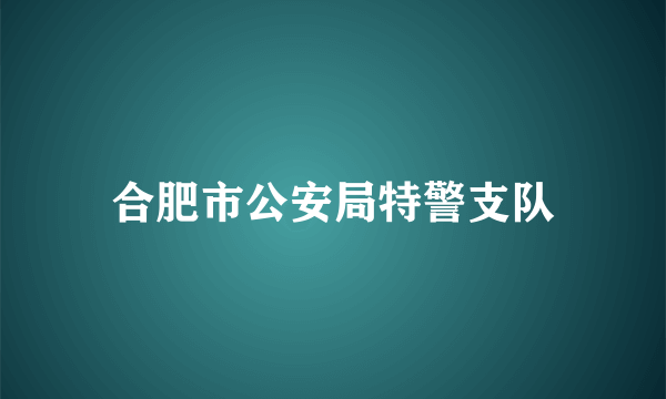 合肥市公安局特警支队