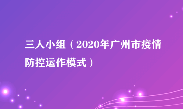 三人小组（2020年广州市疫情防控运作模式）