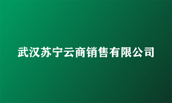 武汉苏宁云商销售有限公司