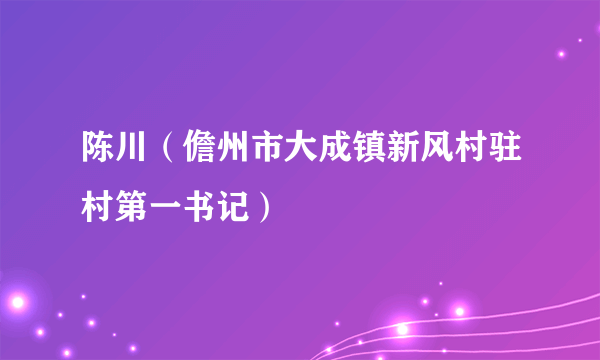 陈川（儋州市大成镇新风村驻村第一书记）