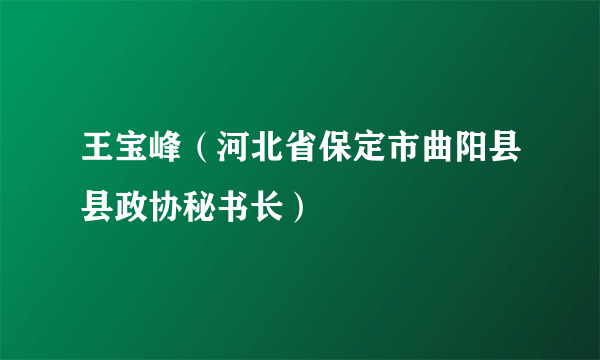 王宝峰（河北省保定市曲阳县县政协秘书长）