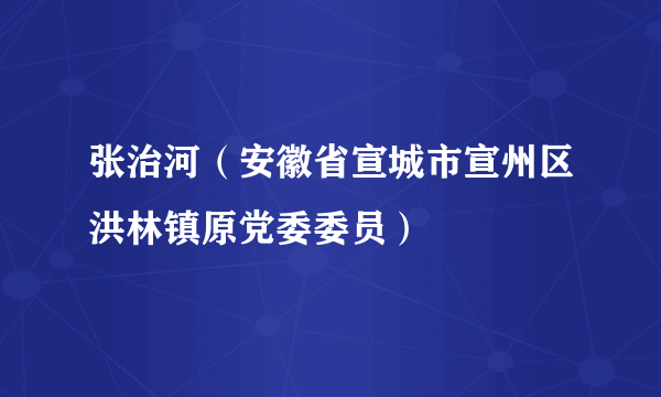 张治河（安徽省宣城市宣州区洪林镇原党委委员）