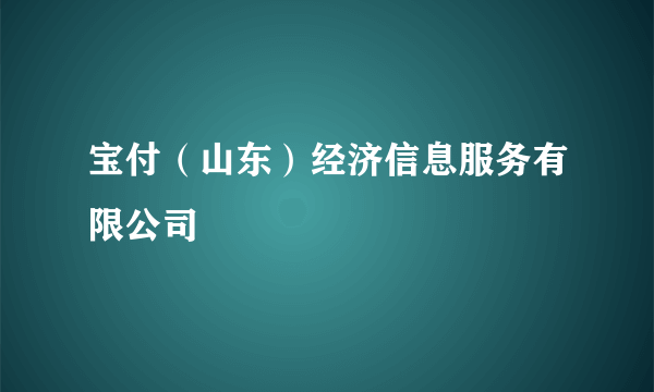 宝付（山东）经济信息服务有限公司