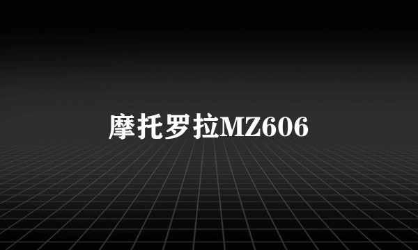 摩托罗拉MZ606