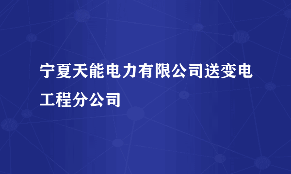 宁夏天能电力有限公司送变电工程分公司