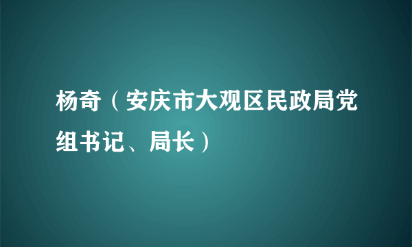 杨奇（安庆市大观区民政局党组书记、局长）