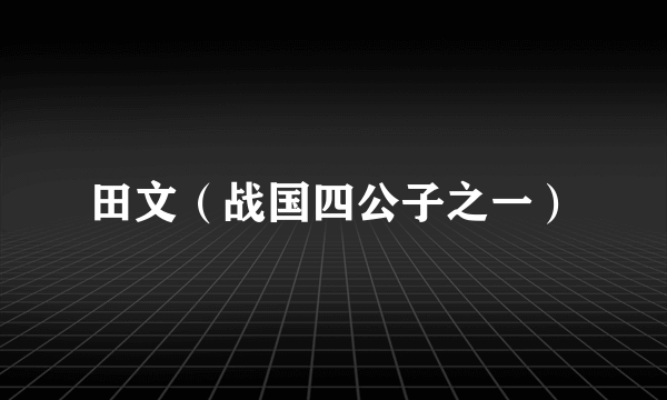 田文（战国四公子之一）