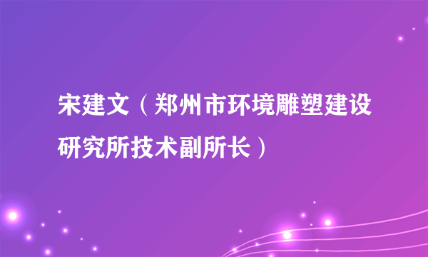 宋建文（郑州市环境雕塑建设研究所技术副所长）