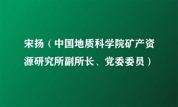 宋扬（中国地质科学院矿产资源研究所副所长、党委委员）