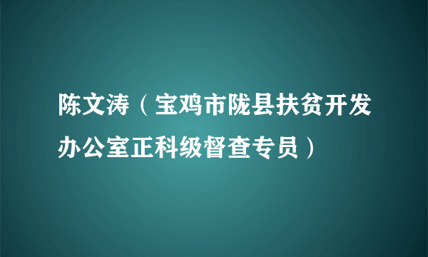 陈文涛（宝鸡市陇县扶贫开发办公室正科级督查专员）