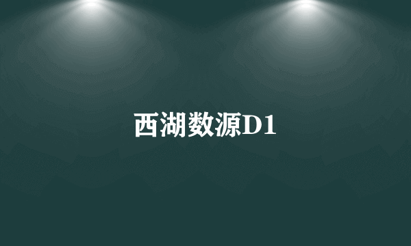 西湖数源D1