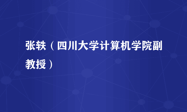 张轶（四川大学计算机学院副教授）