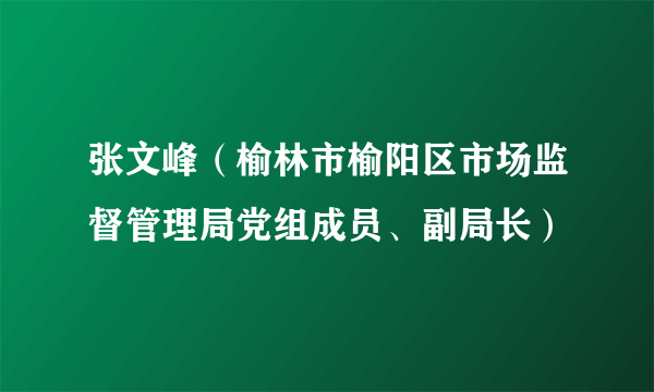 张文峰（榆林市榆阳区市场监督管理局党组成员、副局长）