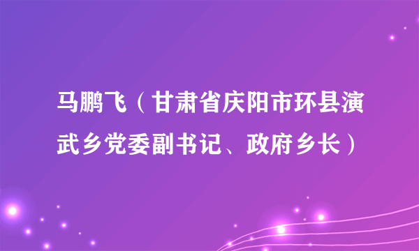 马鹏飞（甘肃省庆阳市环县演武乡党委副书记、政府乡长）