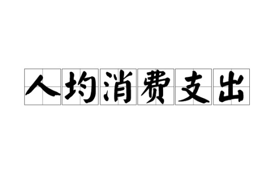 人均消费支出