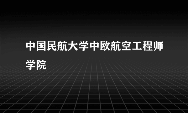 中国民航大学中欧航空工程师学院