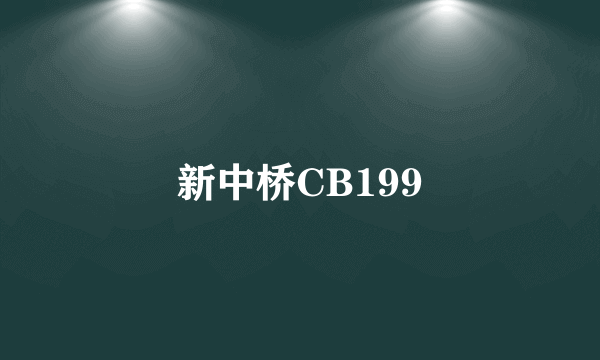 新中桥CB199