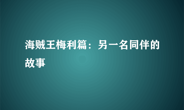 海贼王梅利篇：另一名同伴的故事