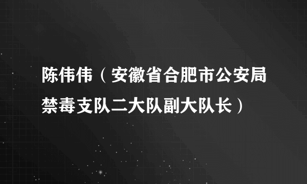 陈伟伟（安徽省合肥市公安局禁毒支队二大队副大队长）