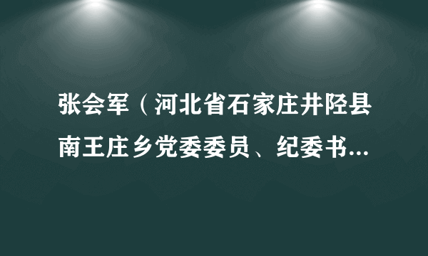 张会军（河北省石家庄井陉县南王庄乡党委委员、纪委书记、监察办主任）