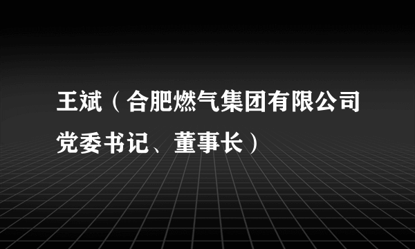 王斌（合肥燃气集团有限公司党委书记、董事长）