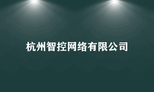 杭州智控网络有限公司