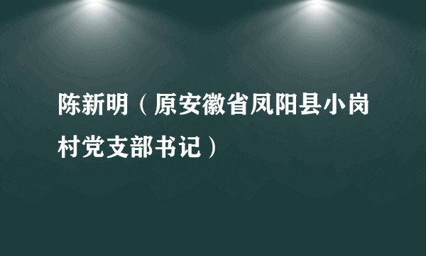 陈新明（原安徽省凤阳县小岗村党支部书记）