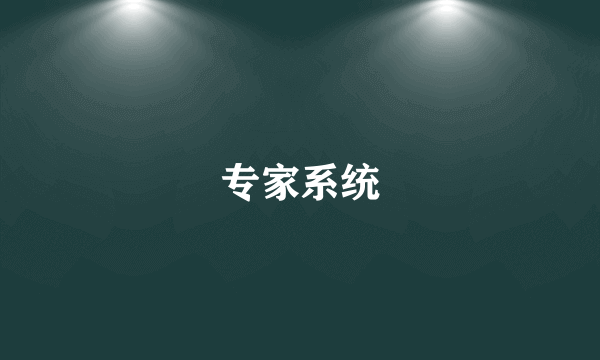 专家系统