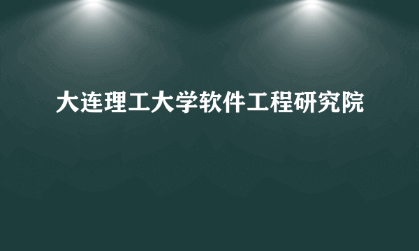 大连理工大学软件工程研究院