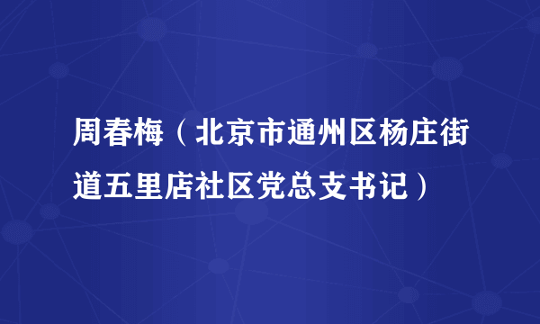 周春梅（北京市通州区杨庄街道五里店社区党总支书记）