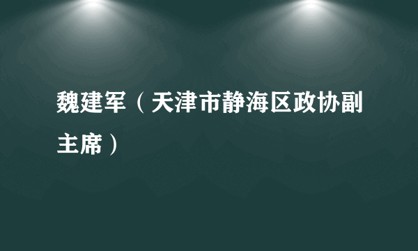 魏建军（天津市静海区政协副主席）