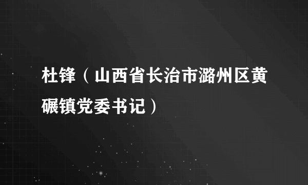 杜锋（山西省长治市潞州区黄碾镇党委书记）