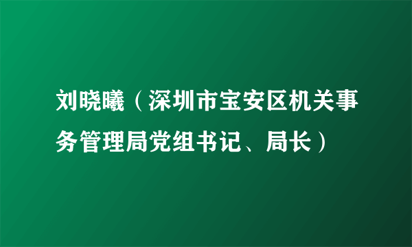 刘晓曦（深圳市宝安区机关事务管理局党组书记、局长）